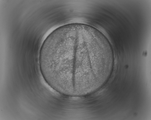 X0000112161339200909041118