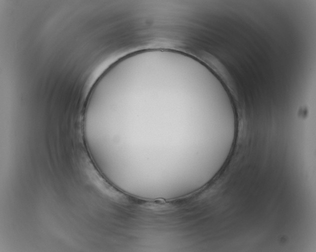 X0000112161340200909041118