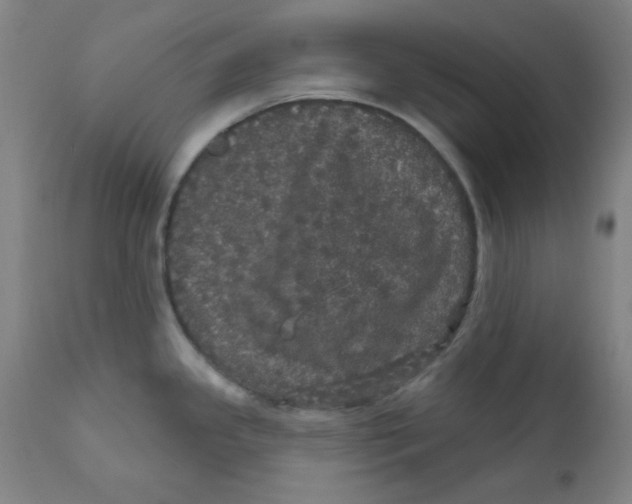 X0000112161341200909041118