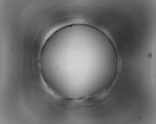 X0000112161342200909041118