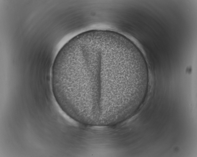 X0000112161343200909041118