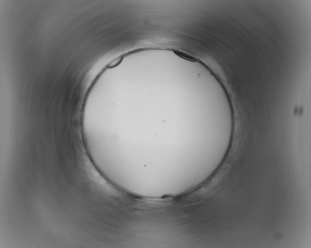 X0000112161344200909041118