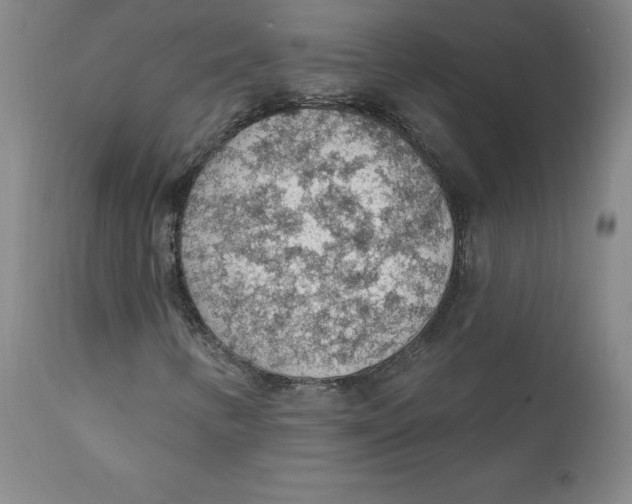 X0000112161346200909041117