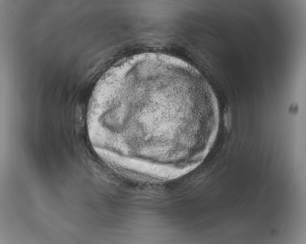 X0000112161347200909041117