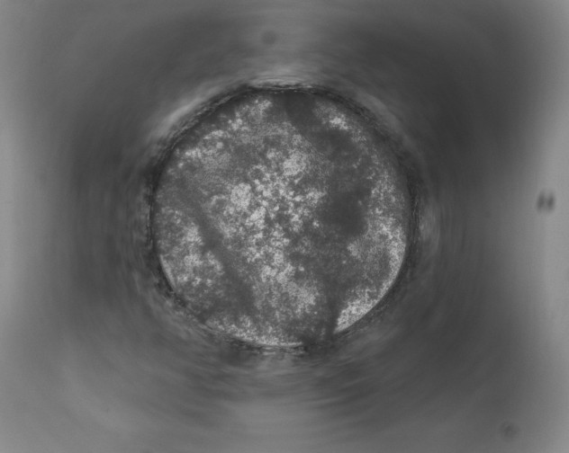 X0000112161350200909041117