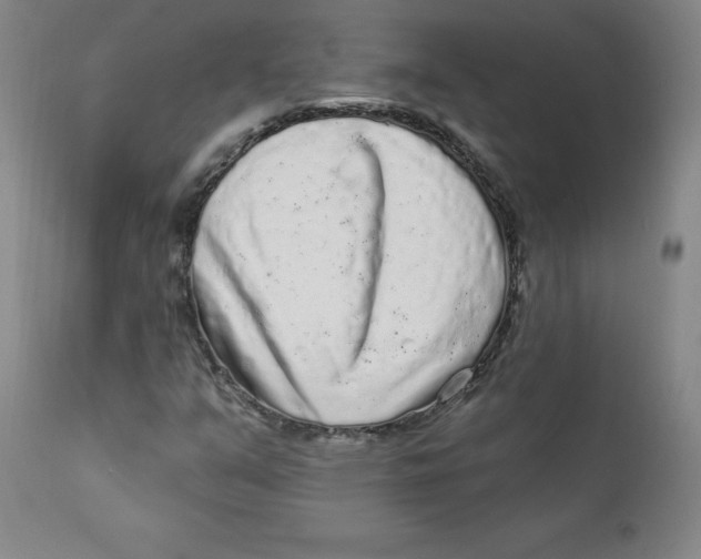 X0000112161351200909041117