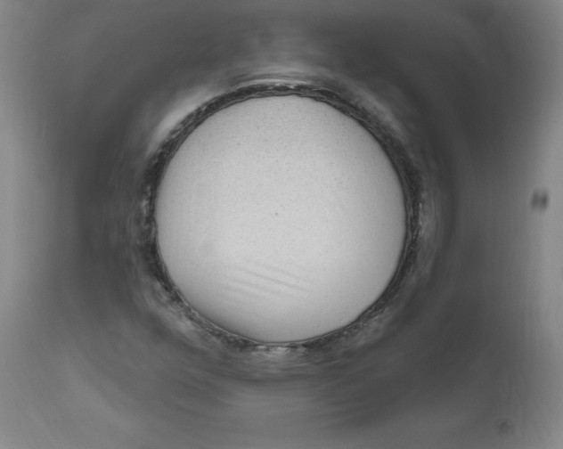X0000112161352200909041117
