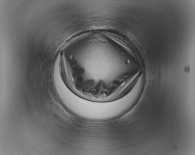 X0000112161353200909041117