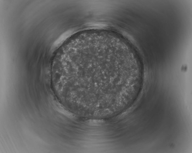 X0000112161354200909041117