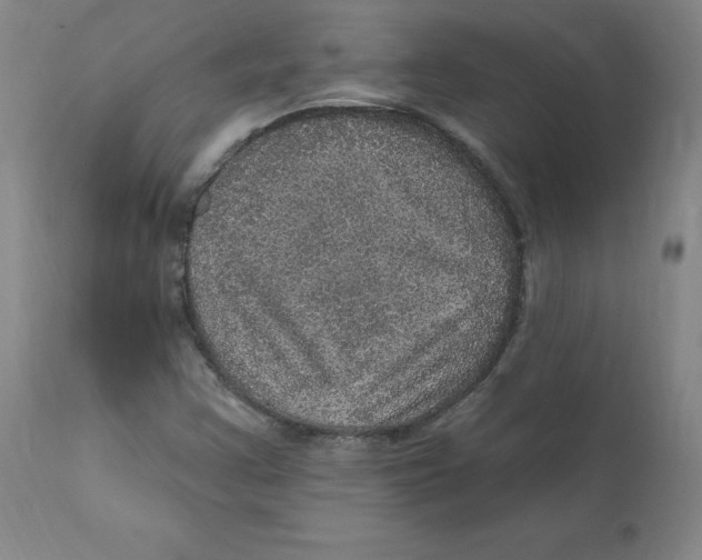X0000112161355200909041117