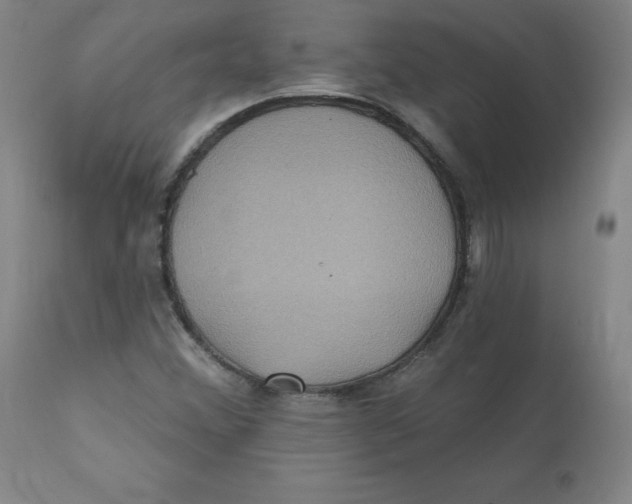 X0000112161356200909041117