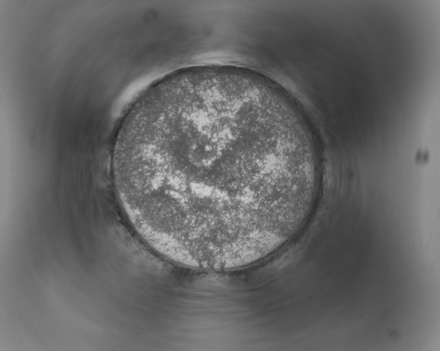 X0000112161358200909041117