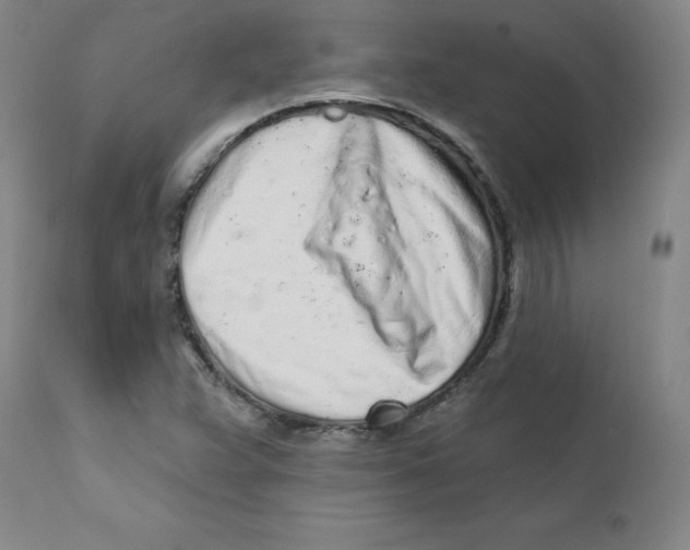 X0000112161359200909041117