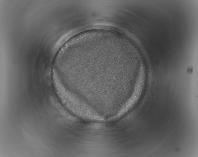 X0000112161362200909041117