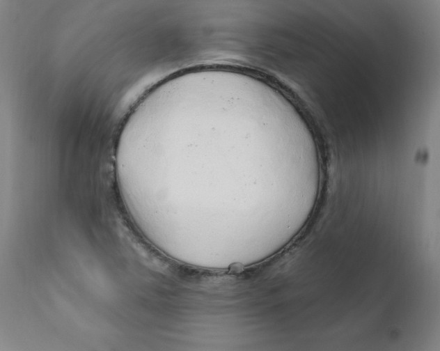 X0000112161363200909041117