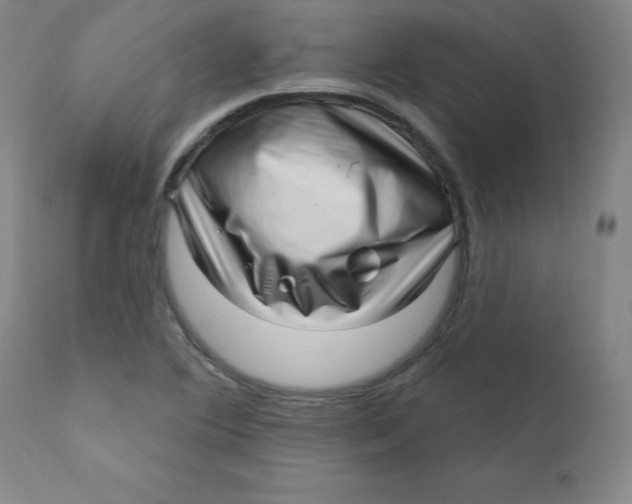 X0000112161364200909041117