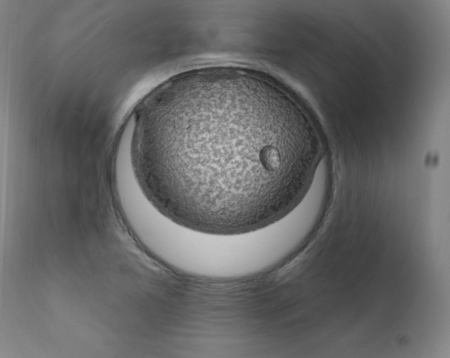 X0000112161365200909041117