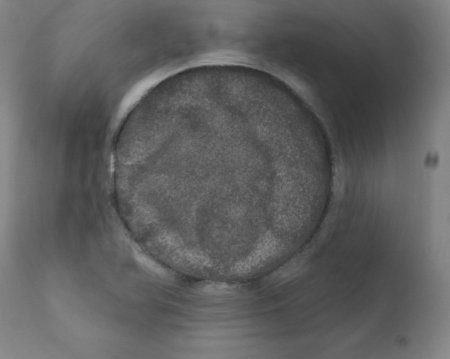 X0000112161366200909041117