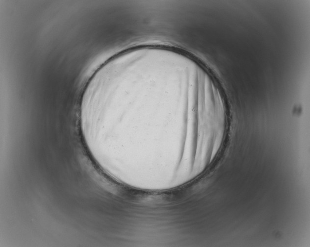 X0000112161367200909041117