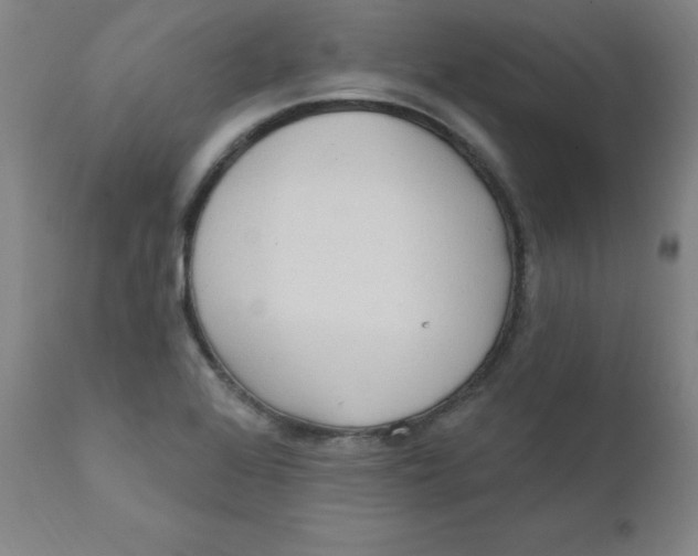 X0000112161368200909041117