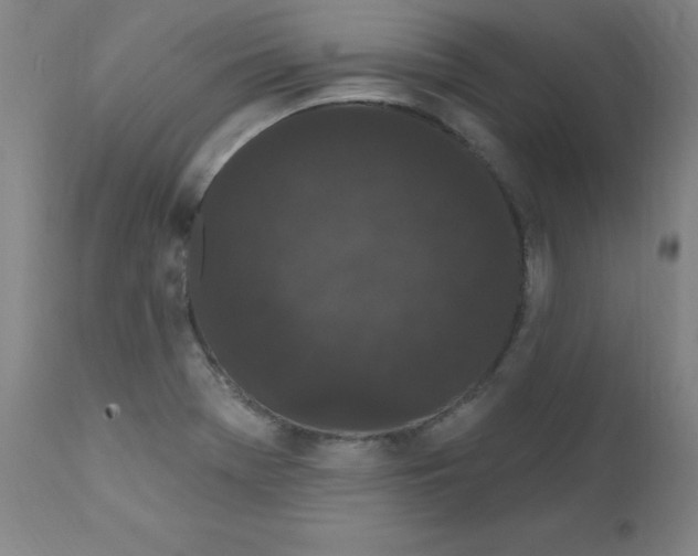 X0000112161369200909041116
