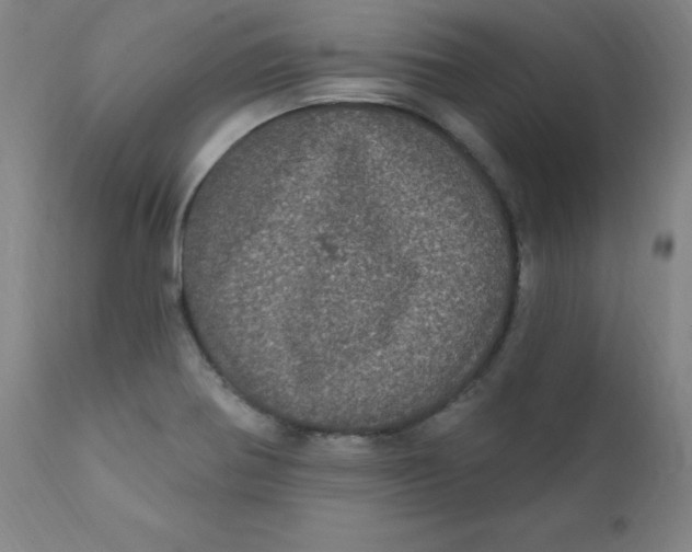 X0000112161370200909041116
