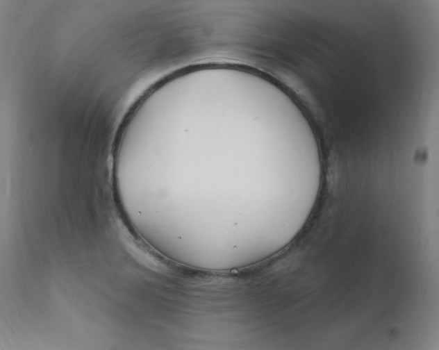 X0000112161372200909041116