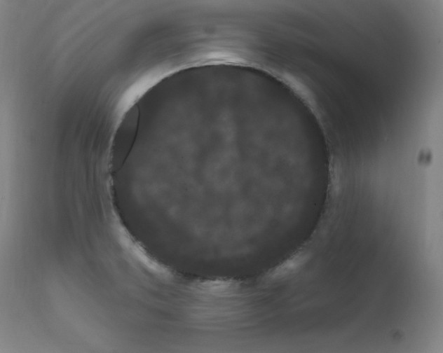 X0000112161373200909041116