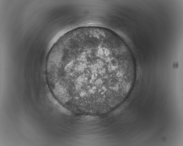 X0000112161374200909041116