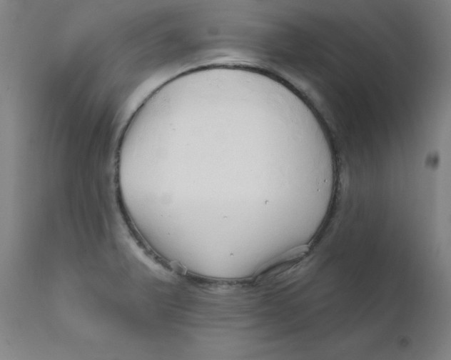 X0000112161375200909041116