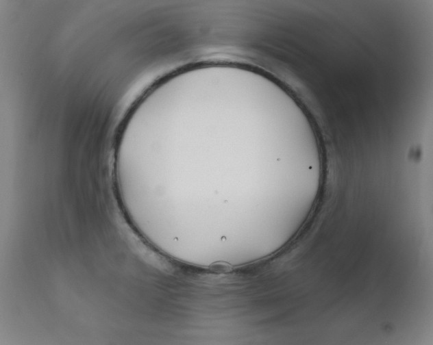 X0000112161376200909041116