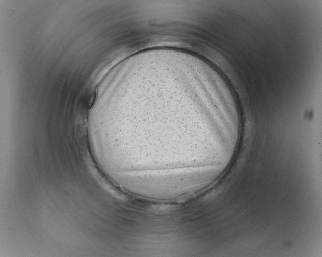 X0000112161377200909041116