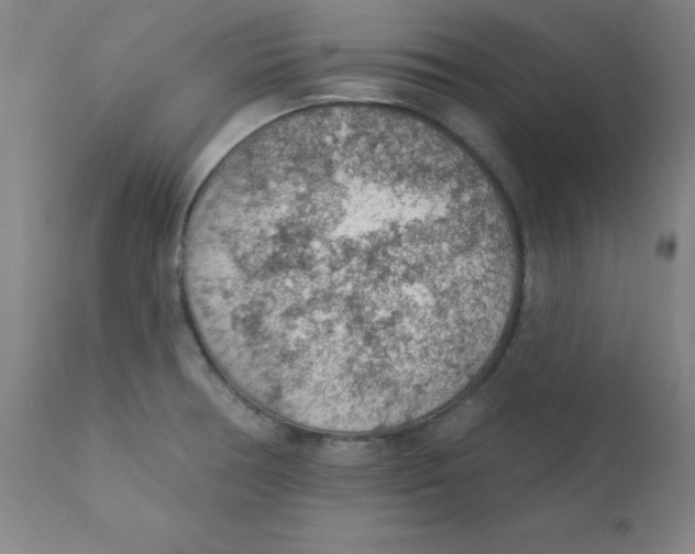 X0000112161378200909041116