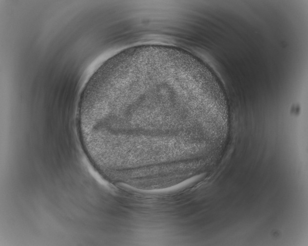 X0000112161379200909041116