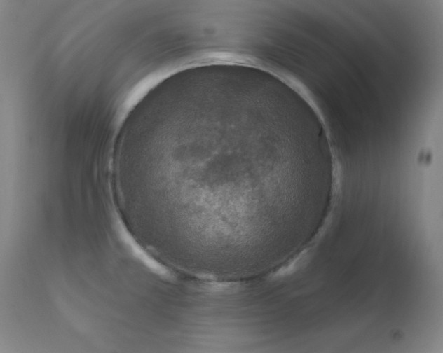 X0000112161381200909041116