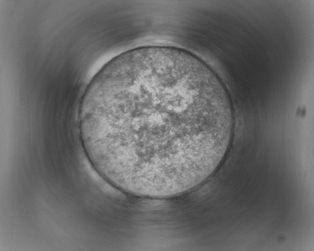 X0000112161382200909041116