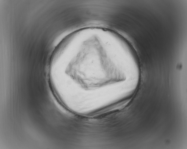 X0000112161383200909041116