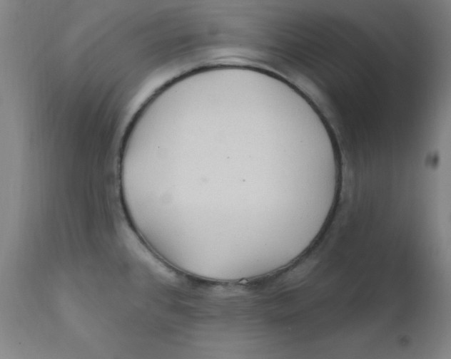 X0000112161384200909041116