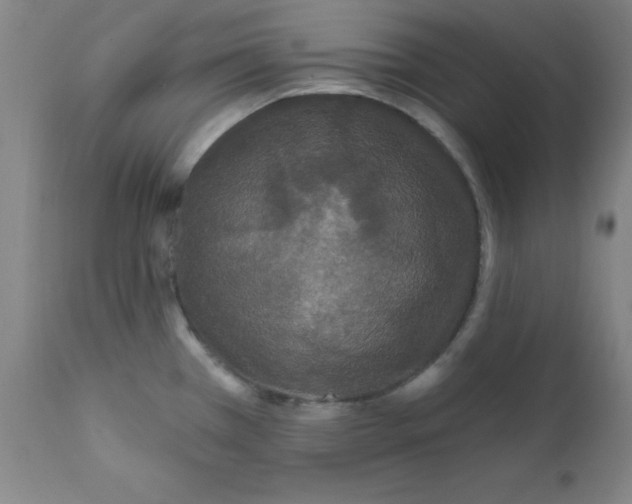 X0000112161385200909041116