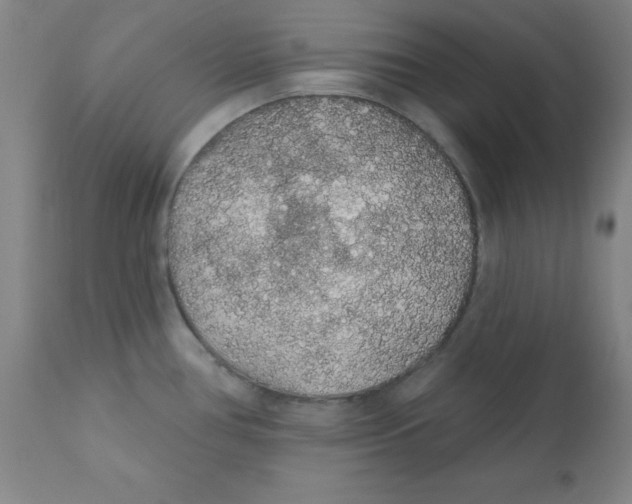 X0000112161386200909041116