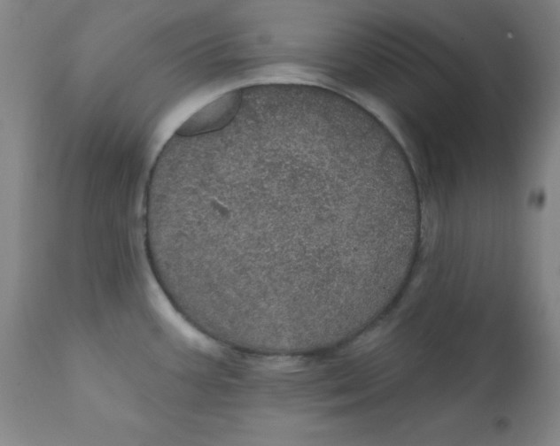 X0000112161387200909041116