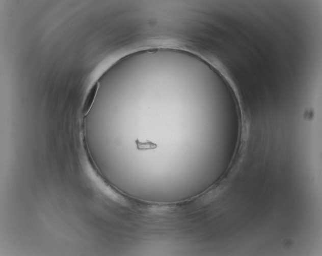 X0000112161389200909041116