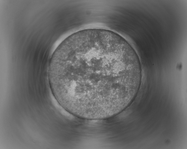 X0000112161390200909041116