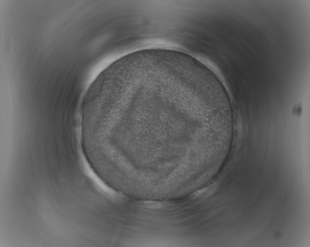 X0000112161391200909041116