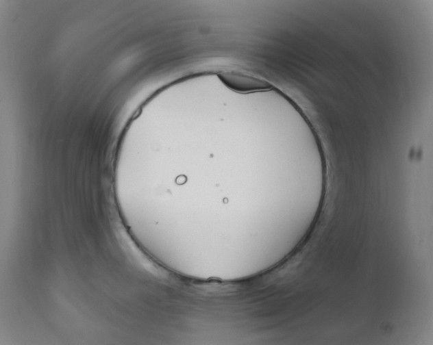 X0000112161392200909041116