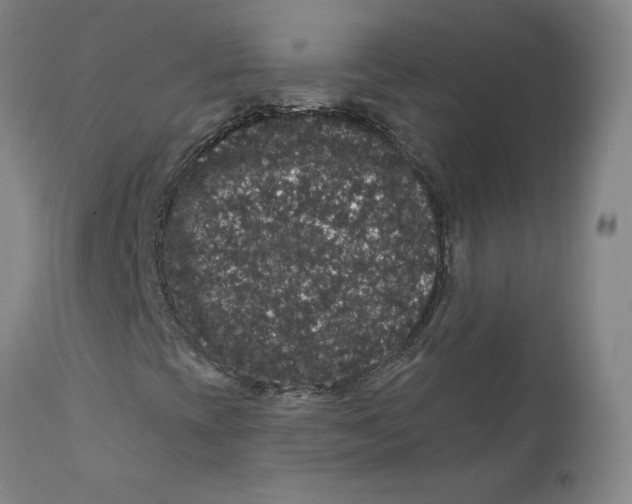 X0000112161393200909041116