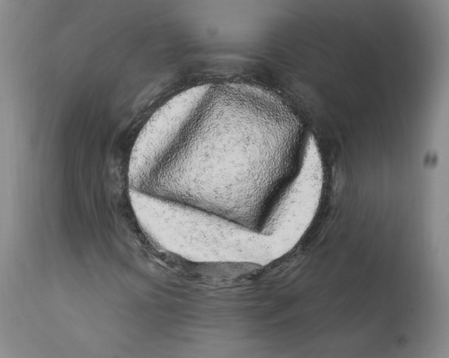 X0000112161394200909041116