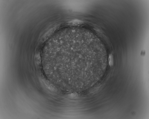 X0000112161395200909041116
