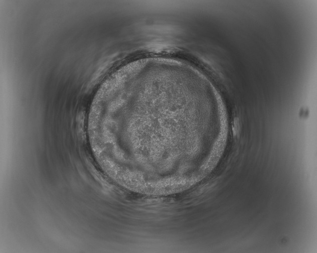 X0000112161396200909041116