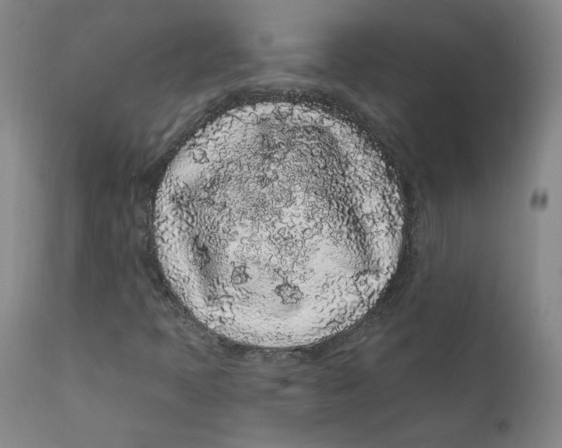 X0000112161397200909041116